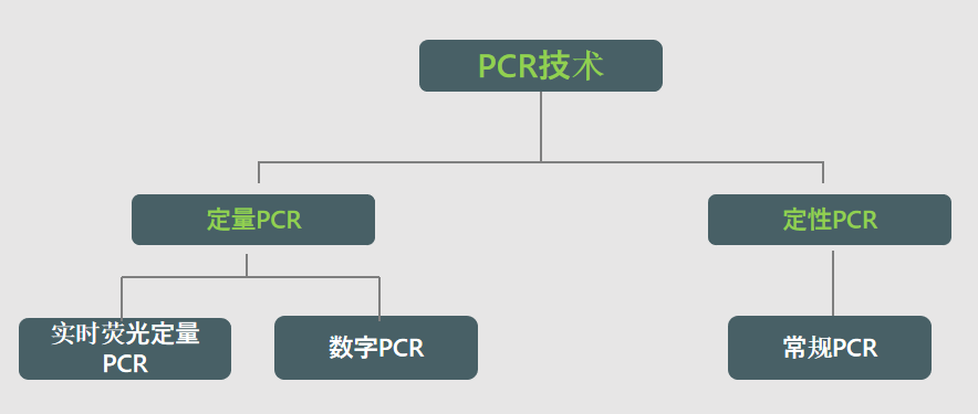 008PG(й)-ٷվ